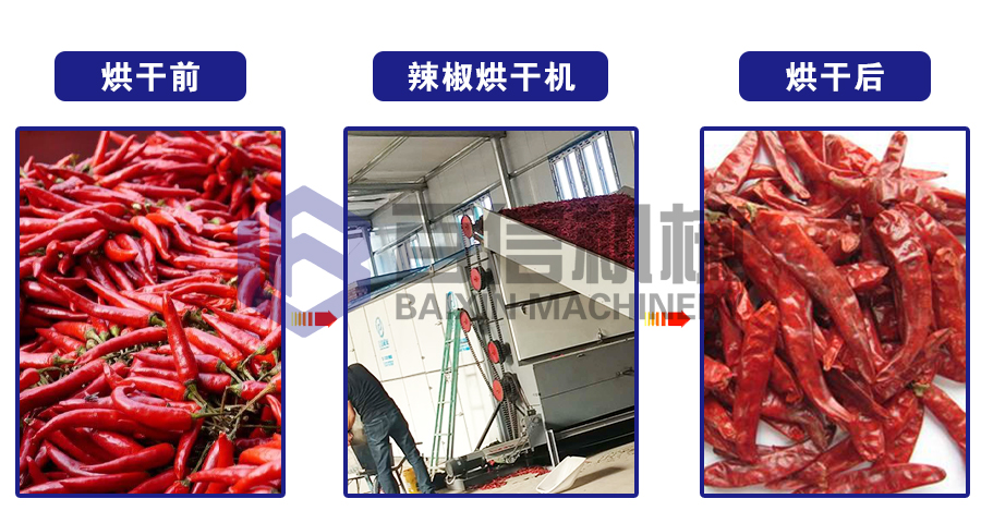 大型辣椒烘干機